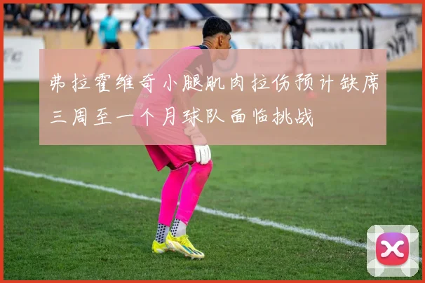 弗拉霍维奇小腿肌肉拉伤预计缺席三周至一个月球队面临挑战